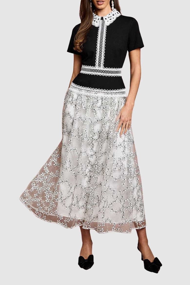 Embroidered Mesh Skirt Midaxi Dress, Alternate, color, Mono
