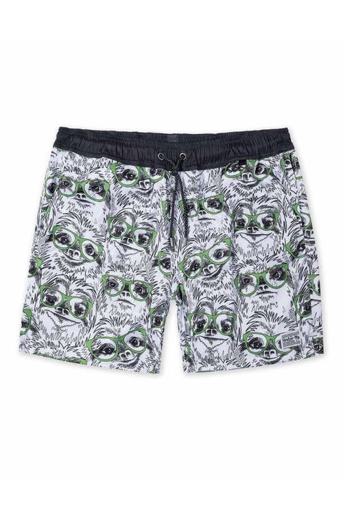 Baja Llama Slothmeister In White