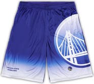 FANATICS Men's Fanatics Branded Royal Golden State Warriors Big & Tall Graphic Shorts