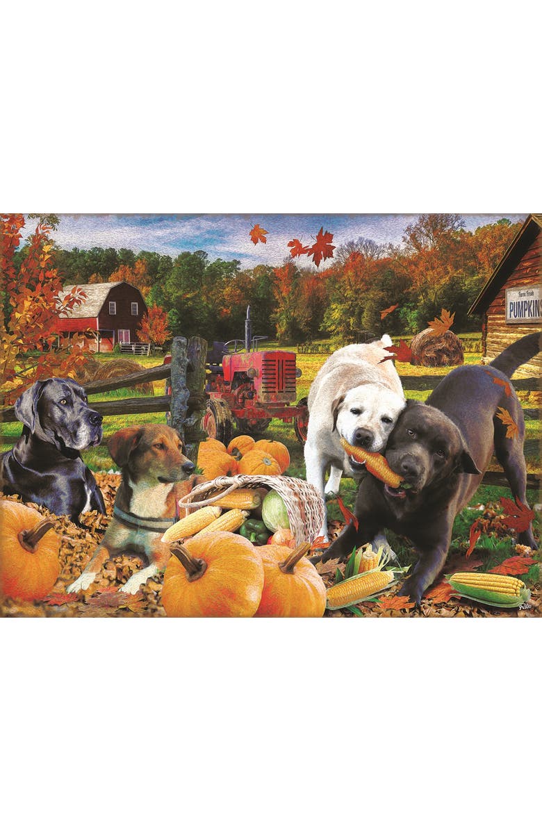 Sunsout Harvest Helpers 1000 piece Jigsaw Puzzle for Adults, Alternate, color, Multicolor