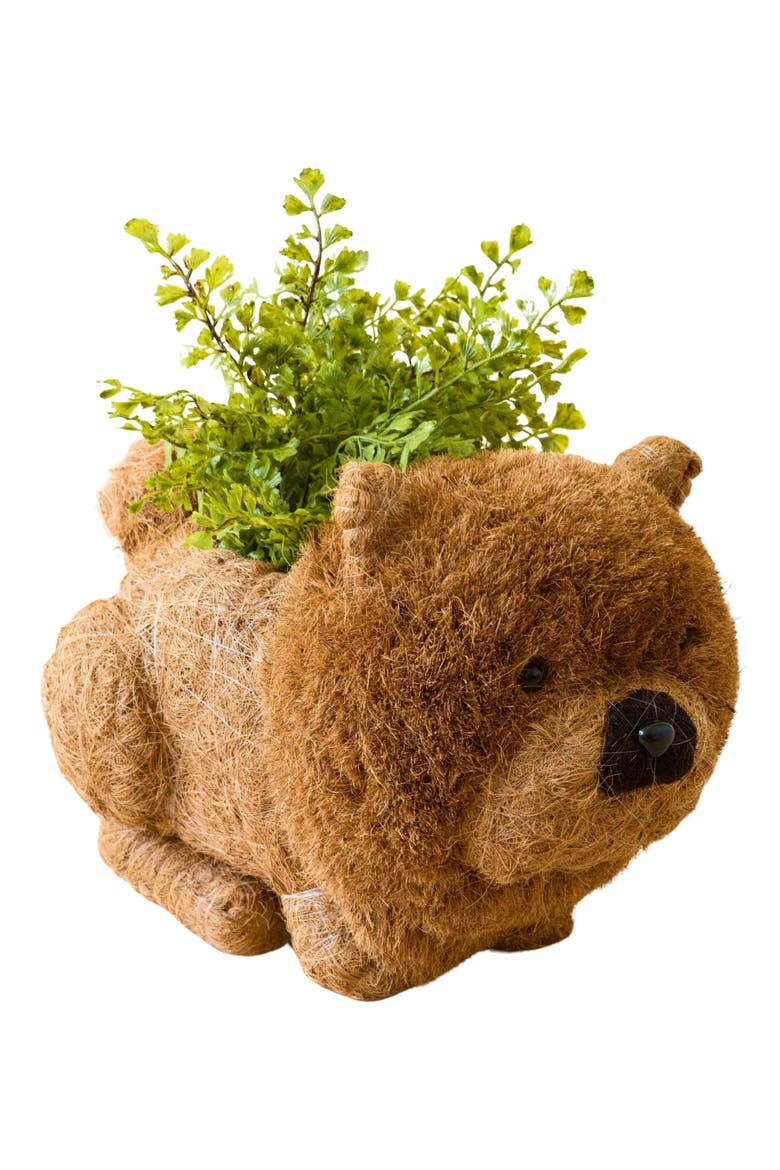 Chow Chow Handwoven Planter, Main, color, BROWN