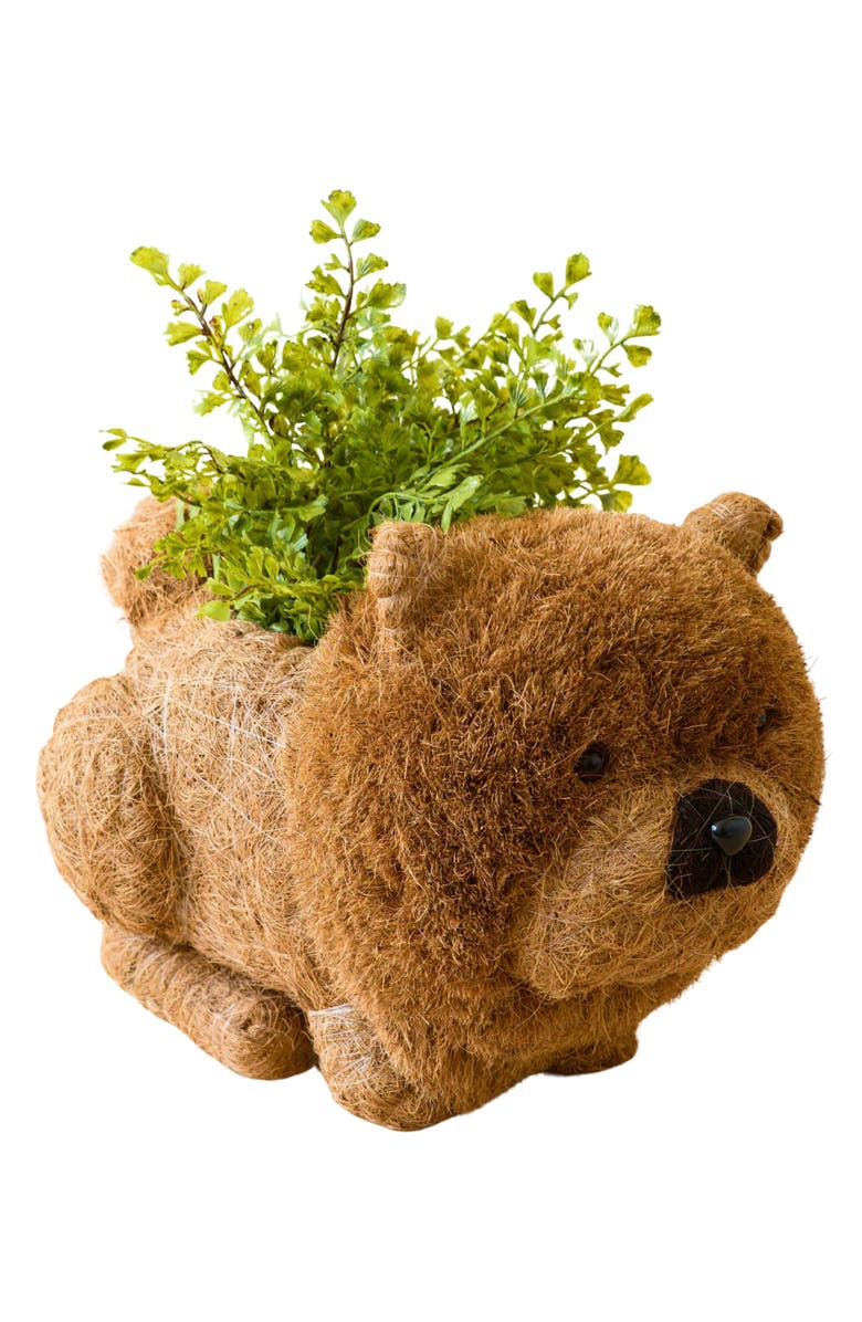 LIKHA Chow Chow Handwoven Planter, Main, color, Brown