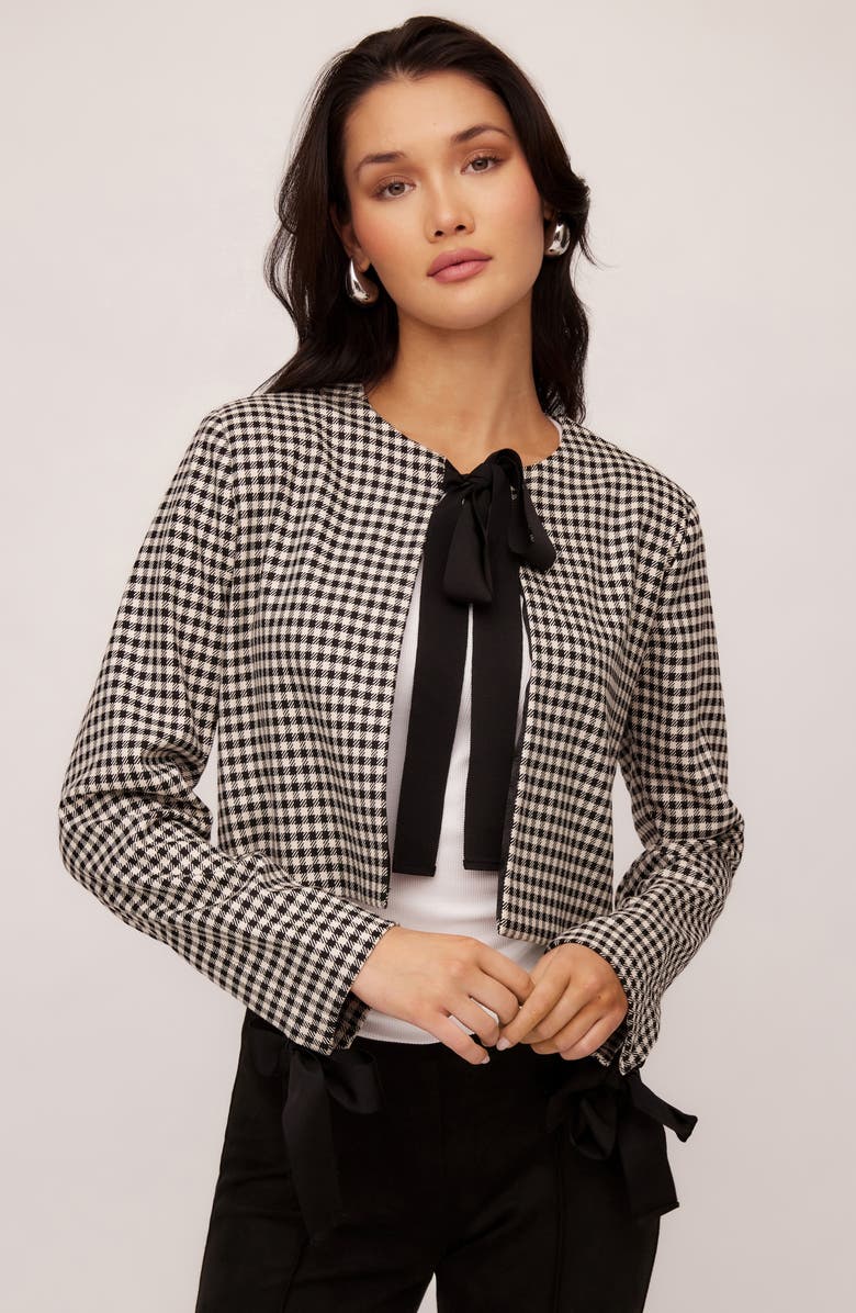 FIFTEEN TWENTY Poppy Tie Neck Check Crop Jacket, Alternate, color, Check