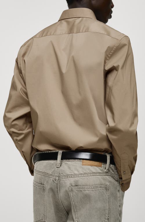 Mango Regular Fit Stretch Poplin Button-up Shirt In Medium Brown