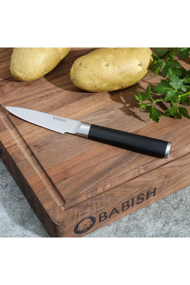 High Carbon 1.4116 German Steel 3.5 Inch Paring Knife, Alternate, color, Silver