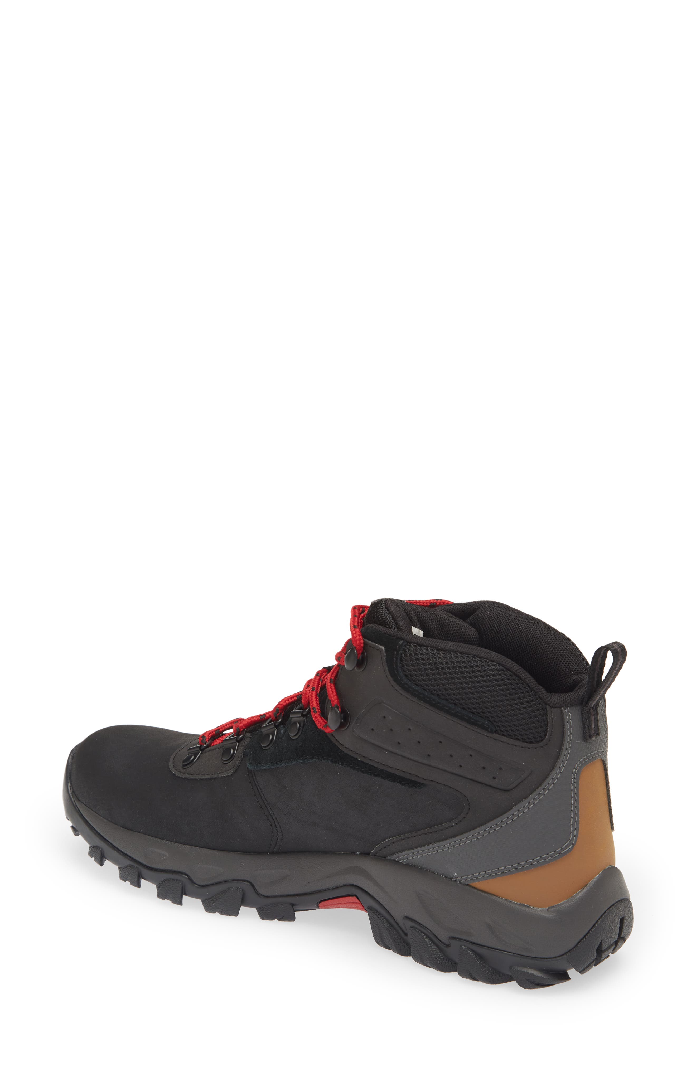 Columbia Newton Ridge<sup>™</sup> Plus II Waterproof Hiking Boot, Alternate, color, 