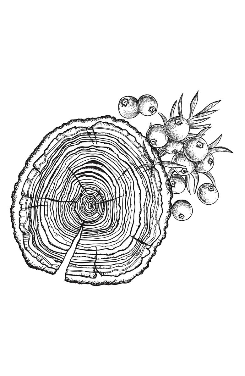 Decision Eau de Parfum