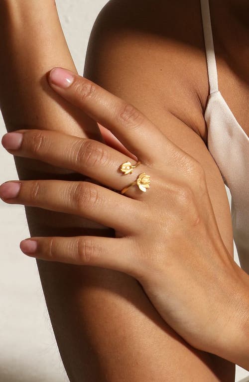 Satya Jewelry Open To Possibilities Double Lotus Ring In Gold