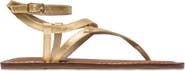 Bernardo Footwear Mallorie Thong Sandal