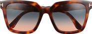 TOM FORD Selby 55mm Square Sunglasses