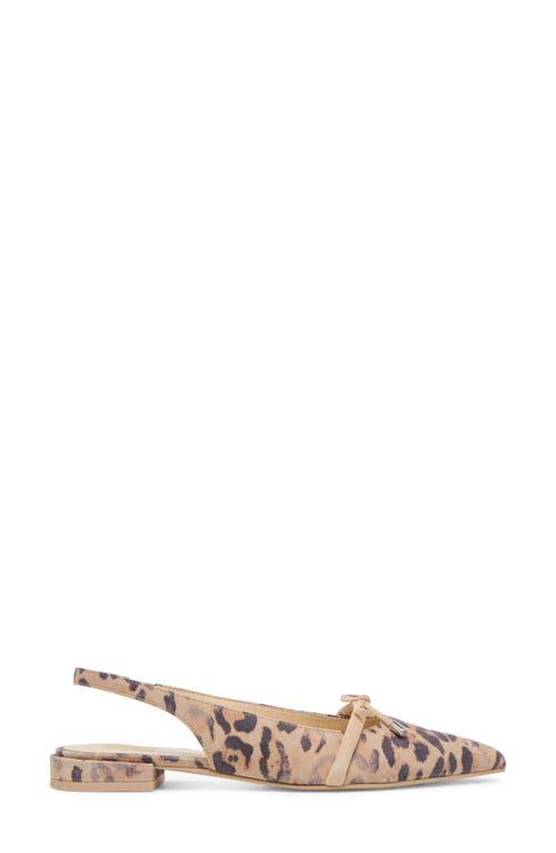 Dolce Vita Payge Pointed Toe Slingback Pump In Light Leopard Suede