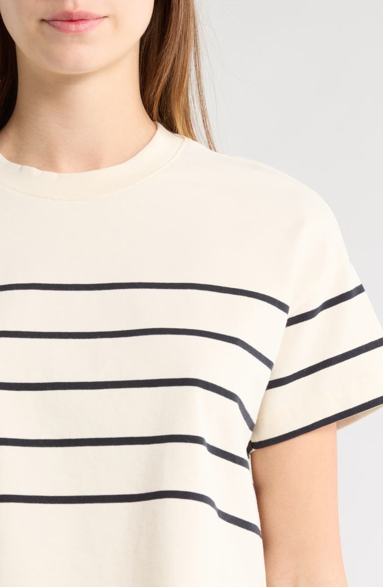Marine Layer Stripe Cotton T-Shirt, Alternate, color, Black/ White Stripe
