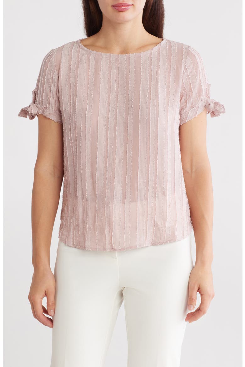 Semisheer Stripe Short Sleeve Top, Main, color, BLUSH