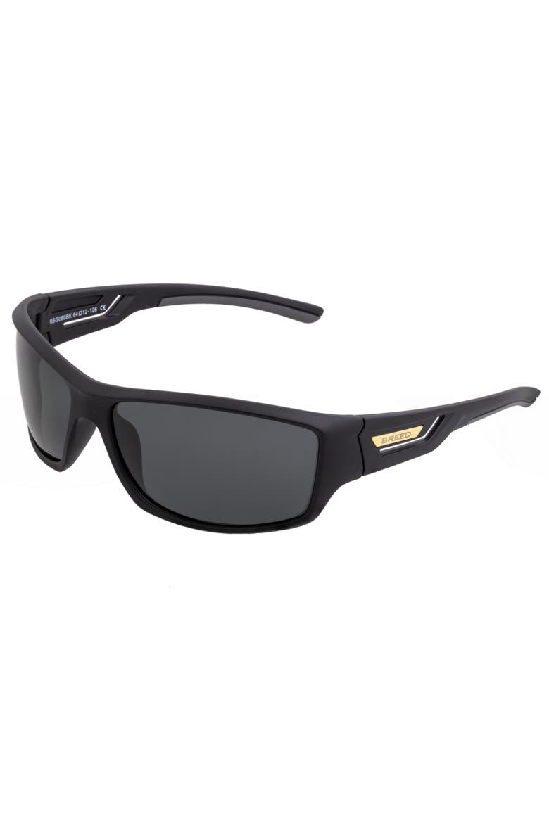 Aquarius Polarized Sunglasses, Main, color, Black/Black