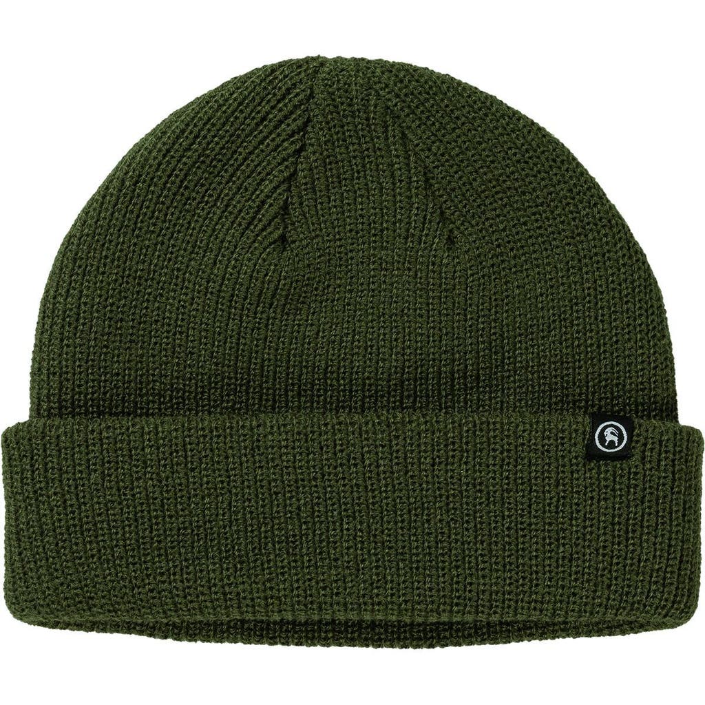 Backcountry Capra Rolled Beanie In Green