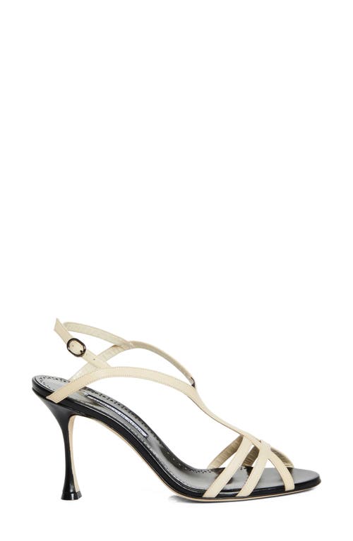Shop Manolo Blahnik Betgieb Ankle Strap Sandal In Black/light Cream