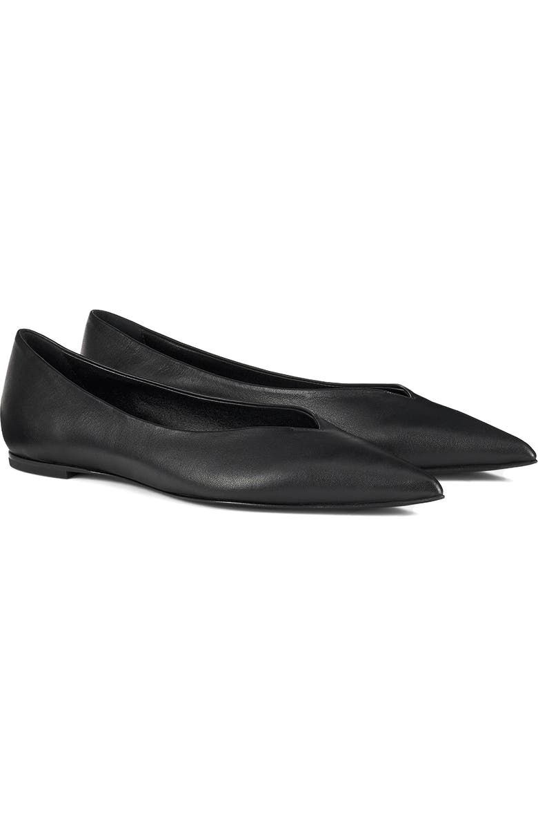 AGL Fergy Pointed Toe Flat, Main, color, Black Nappa