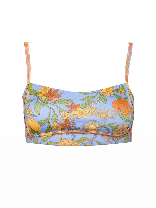 Kitty And Vibe Bandeau With Piping Bikini Top In Aurelia