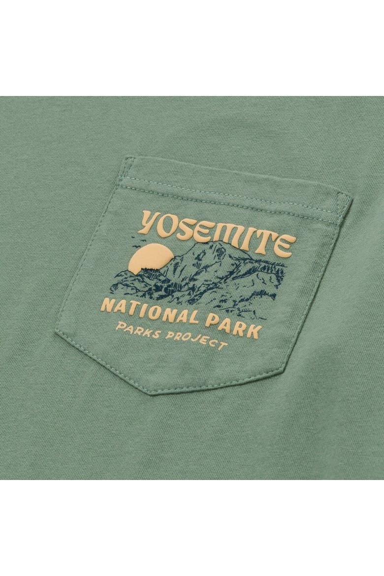 Yosemite Puff Print Pocket T-Shirt, Alternate, color, Dusty Sage