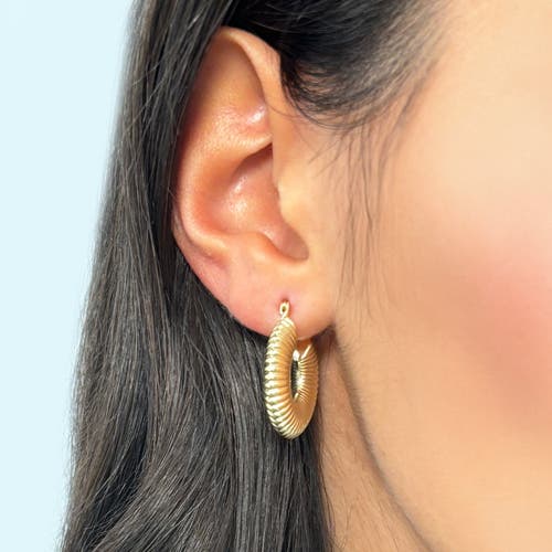 The Lovery Fine Jewelry Ribbed Gold Hoop Earrings In Gold