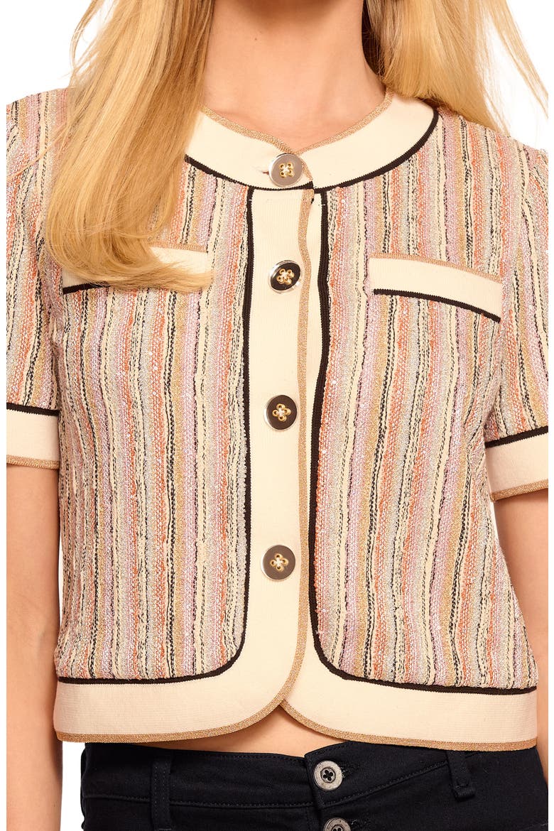 Sterling Sequin Stripe Crop Jacket, Alternate, color, SEQUIN STRIPE