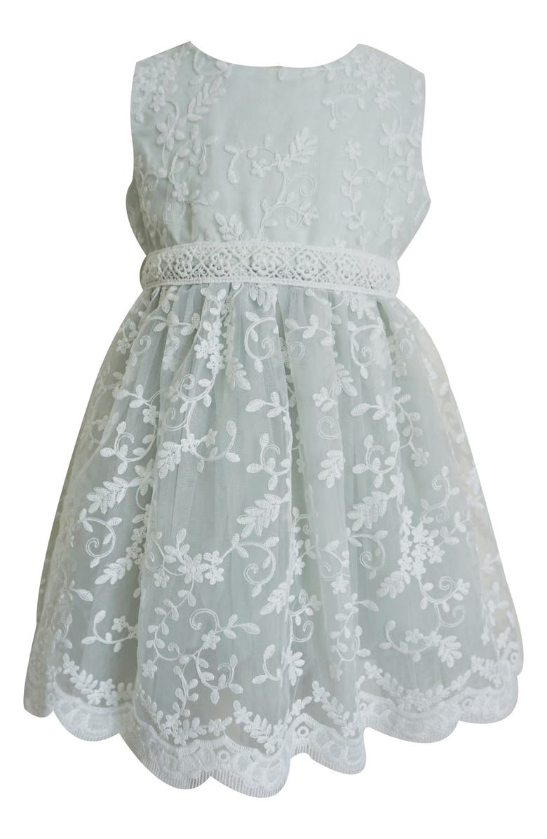 Popatu Kids' Embroidered Mesh Overlay Party Dress, Main, color,