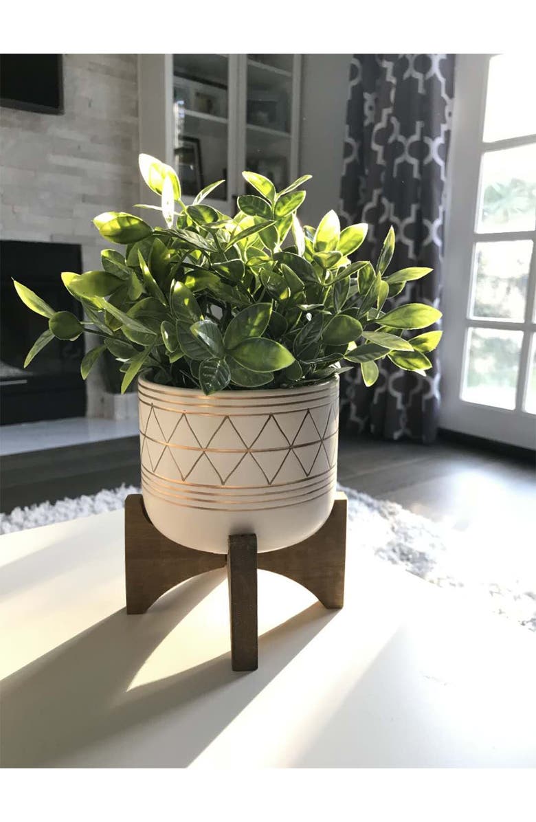 FLORA BUNDA 12" Tea Plant in 5" Geo Ceramic Footed Pot, Alternate, color, 