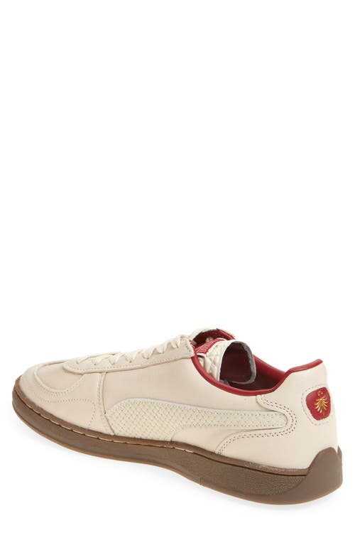 Puma Super Team Palais Sneaker In Alpine Snow-frosted Ivory