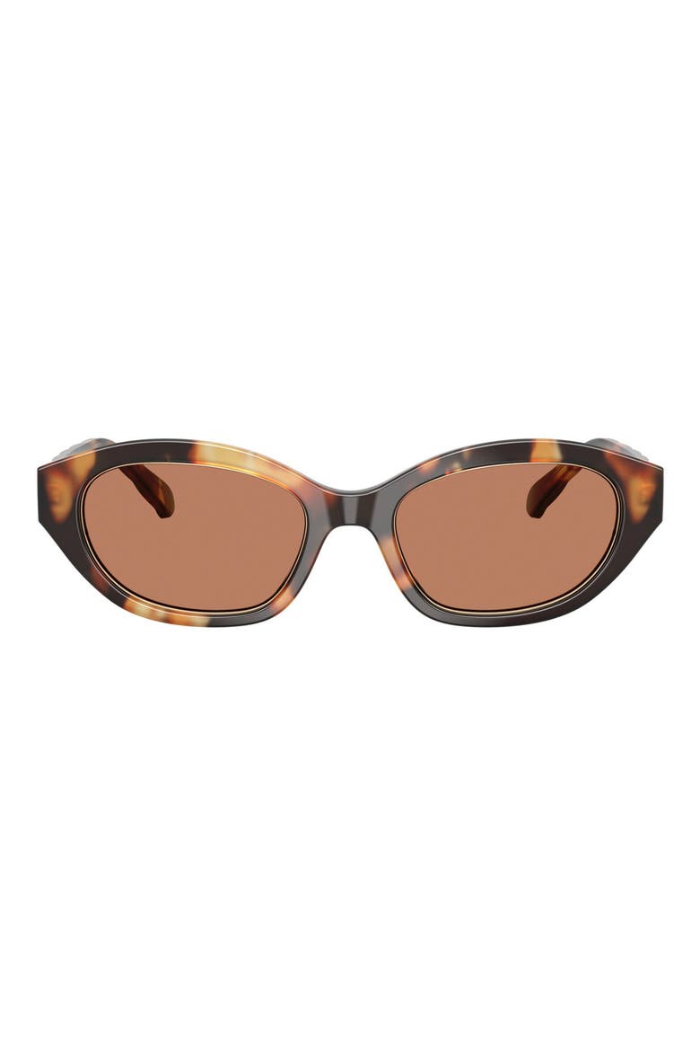 52mm Irregular Sunglasses, Main, color, CONTRAST TORTOISE / AMBER