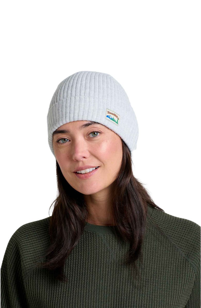 Toad & Co Cazadero Beanie, Alternate, color, Oatmeal