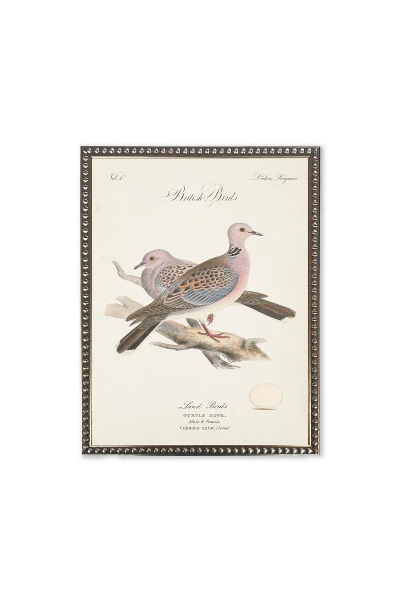 Turtle Doves in Silver-Beaded Frame, Main, color, Multi
