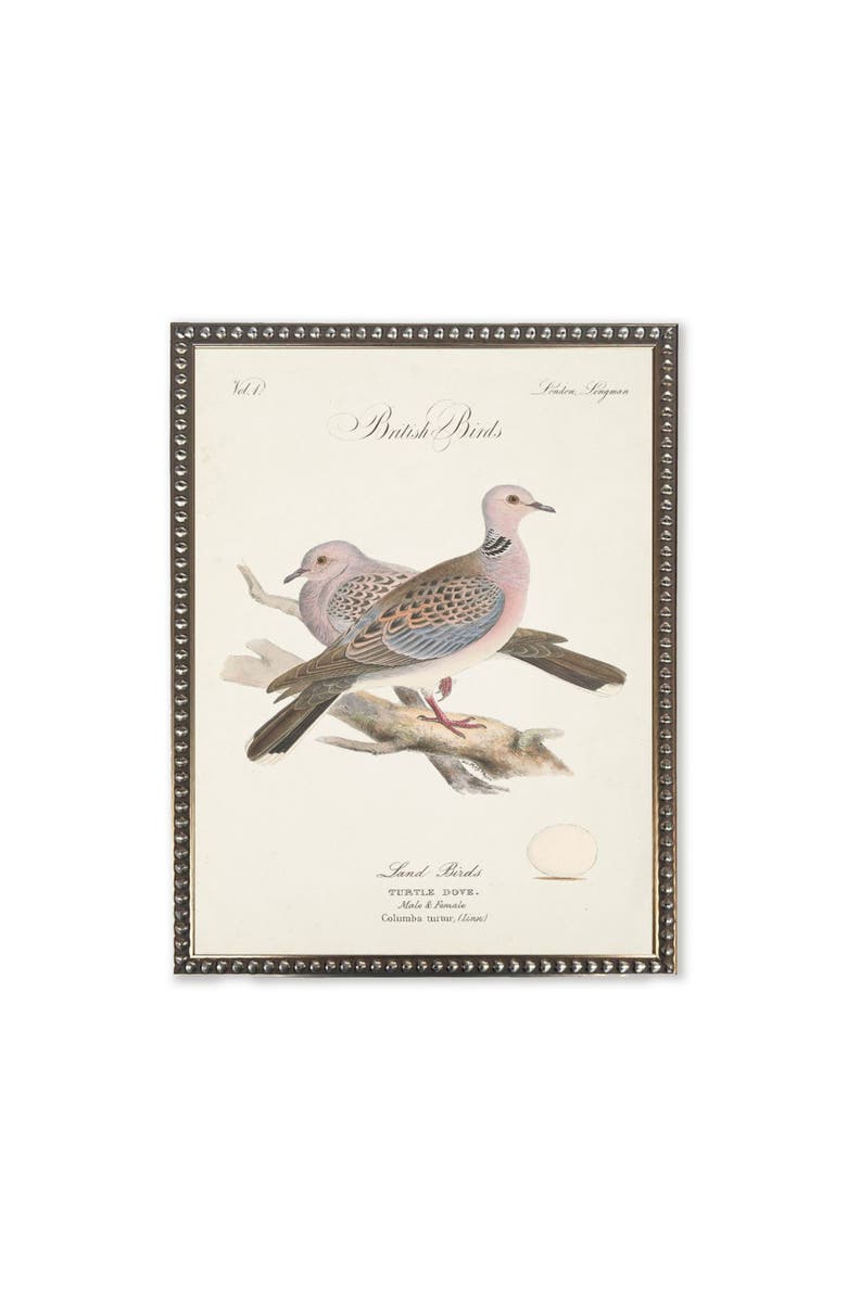 Antique Curiosities Turtle Doves in Silver-Beaded Frame, Main, color, Multi