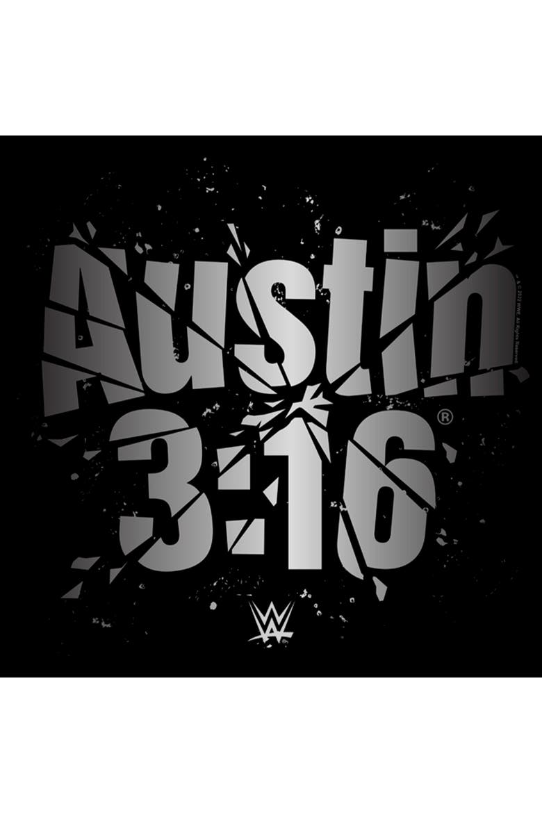 Boy's WWE Austin 316 Shattered Logo  Graphic T-Shirt, Alternate, color, Black