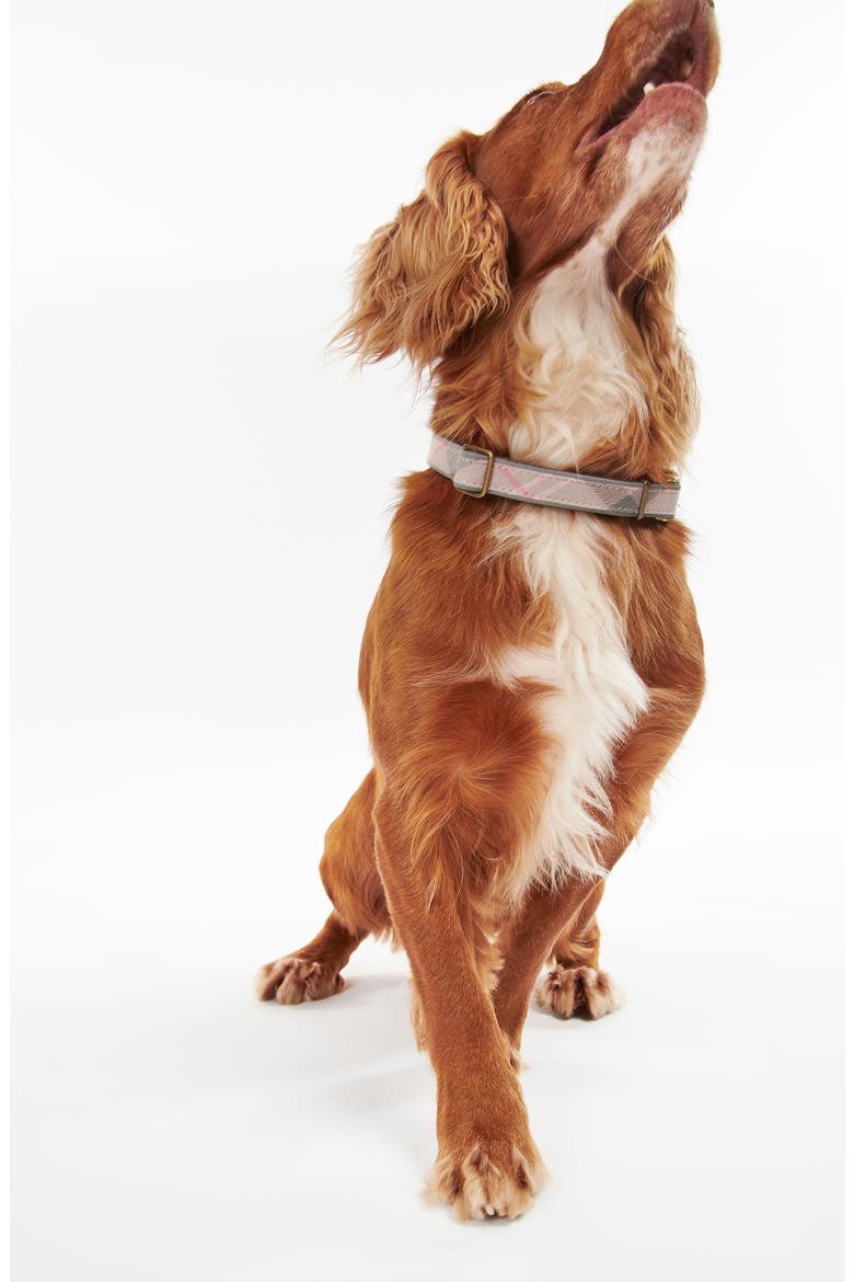 Reflective Tartan Dog Collar, Alternate, color, TAUPE/ PINKDNU