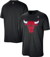 Jordan Brand Men's Jordan Brand Black Chicago Bulls Statement Edition Essential T-Shirt