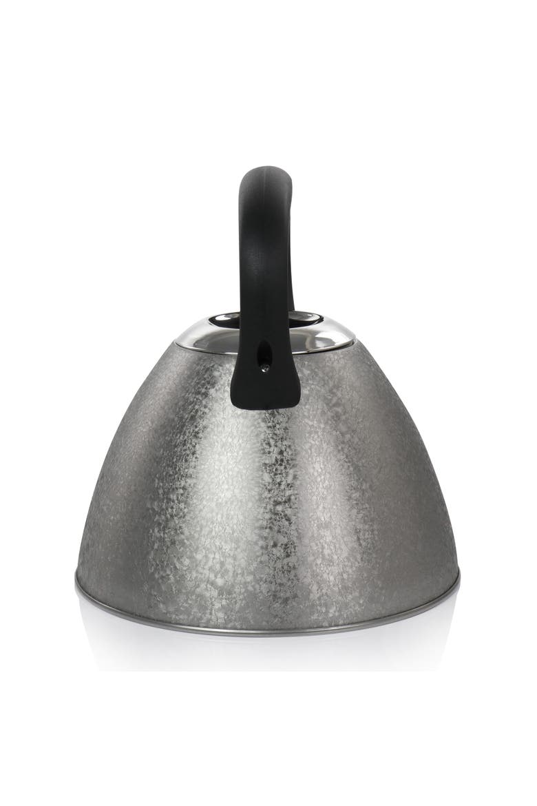 2.5 Quart Stainless Steel Whistling Tea Kettle, Alternate, color, Silver