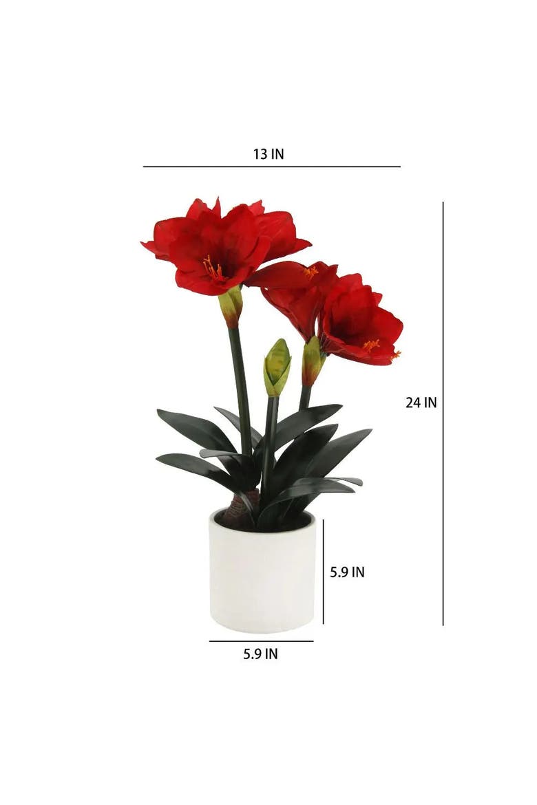 24" Red Amaryllis Arrangement in White Pot, Alternate, color, Red