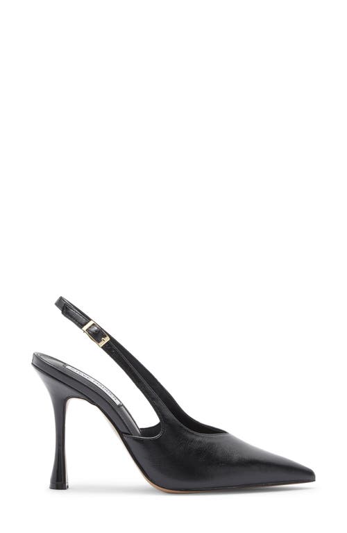 Steve Madden Beverlie Pointed Toe Slingback Pump In Black