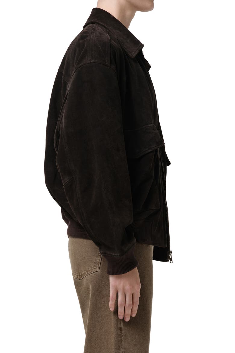 Vivienne Suede Jacket, Alternate, color, CHOCOLATE BROWN