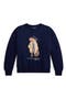 Kids' Polo Bear Fleece Graphic Sweatshirt
