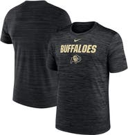 Nike Men's Nike Black Colorado Buffaloes Velocity Performance T-Shirt