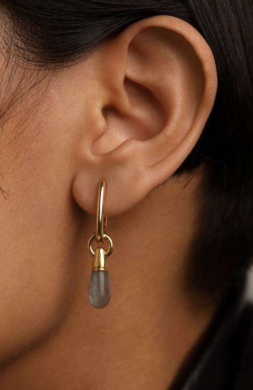 Pdpaola Jupiter Single Hoop In Labradorite