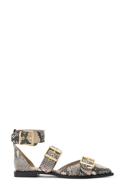 ALLSAINTS ALLSAINTS SUTTON SNAKESKIN EMBOSSED POINTED TOE FLAT