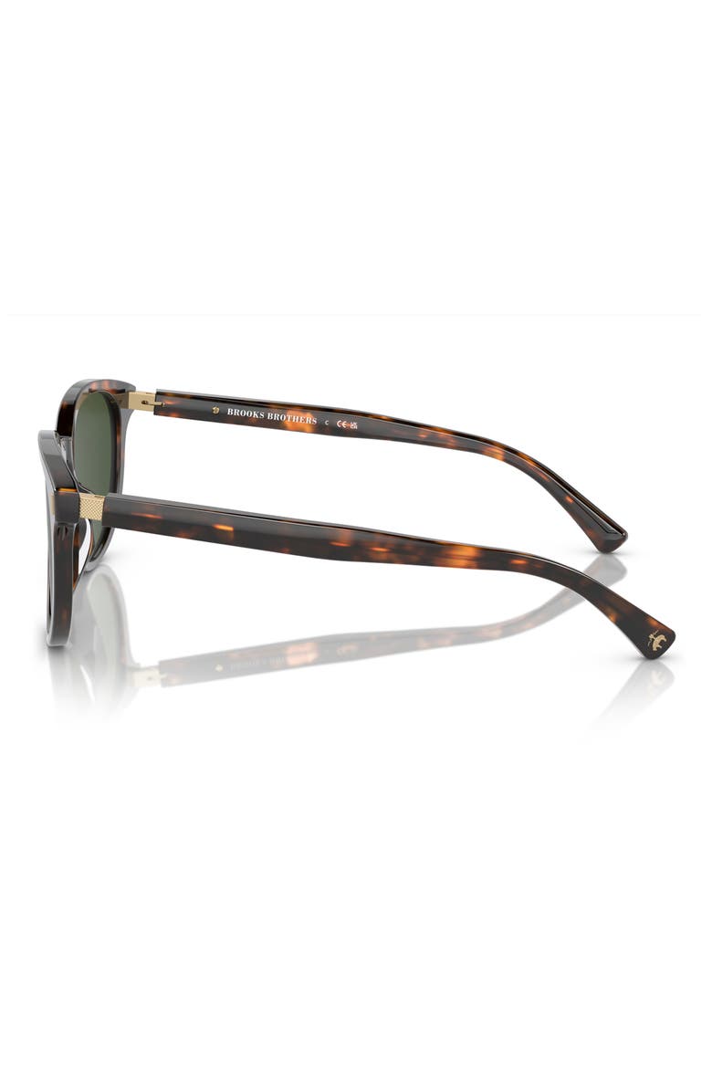 55mm Round Sunglasses, Alternate, color, WARM TORT BIO / DARK GREEN
