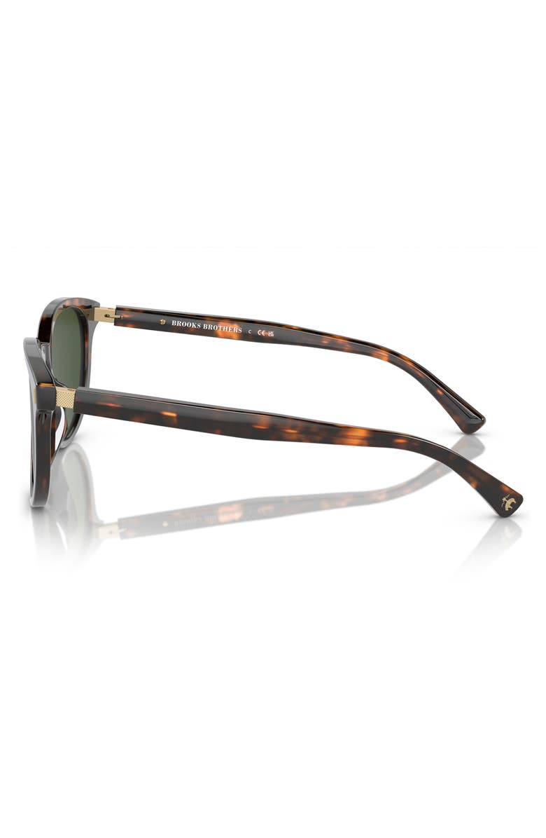 Brooks Brothers 55mm Round Sunglasses, Alternate, color, Warm Tort Bio / Dark Green