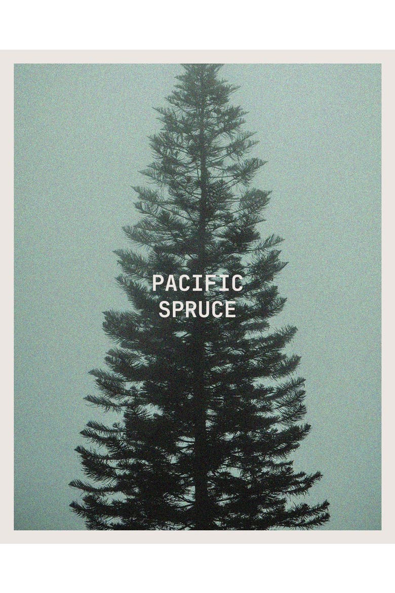 Pacific Spruce Candle, Alternate, color, None
