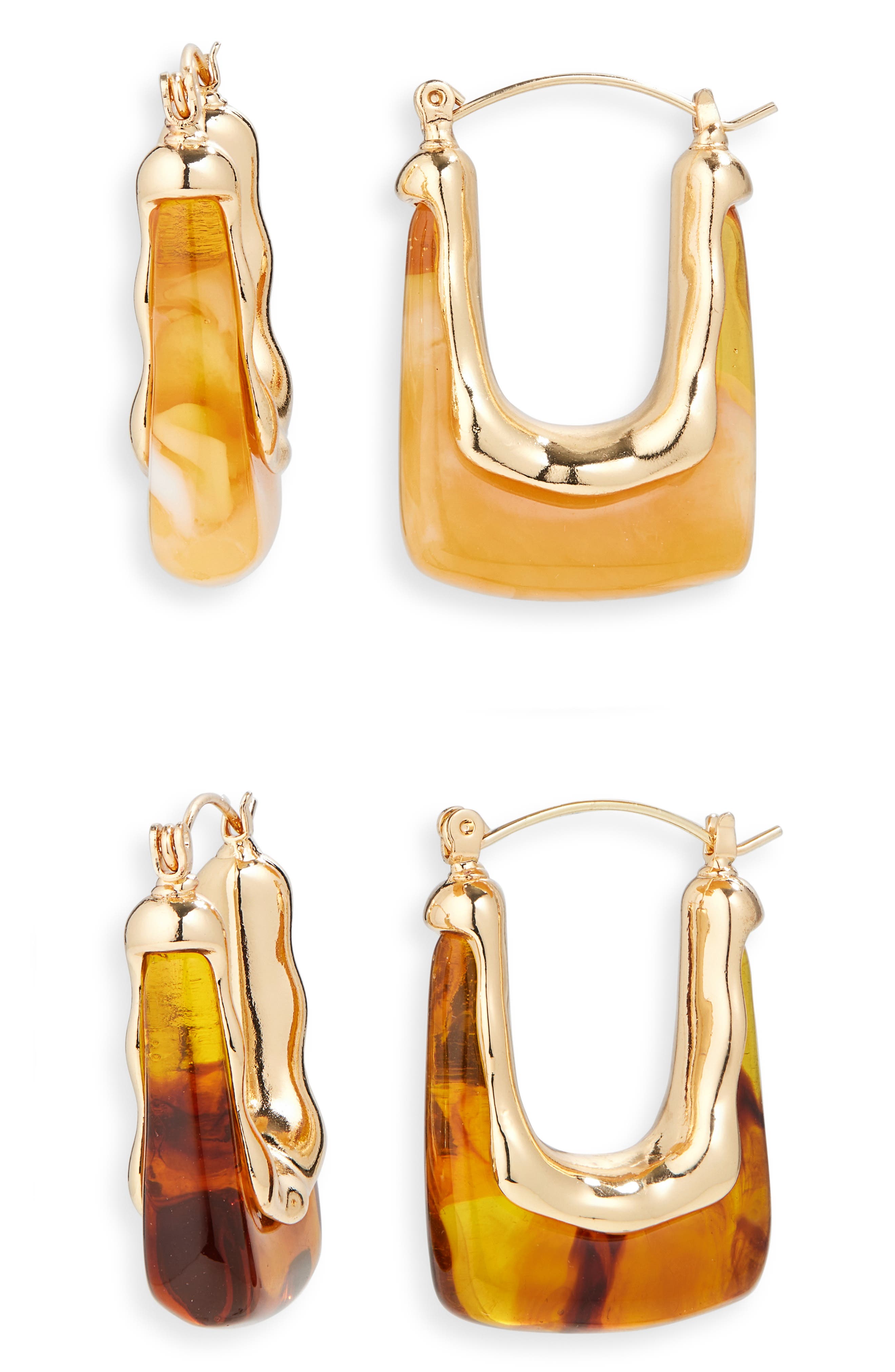 Tasha Set of 2 Resin Oval Hoop Earrings