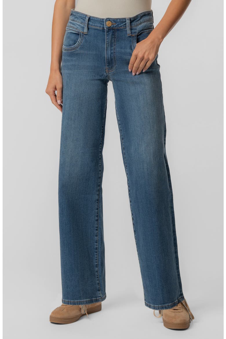 Jodi High Waist Straight Leg Jeans, Main, color, AMUSEMENT