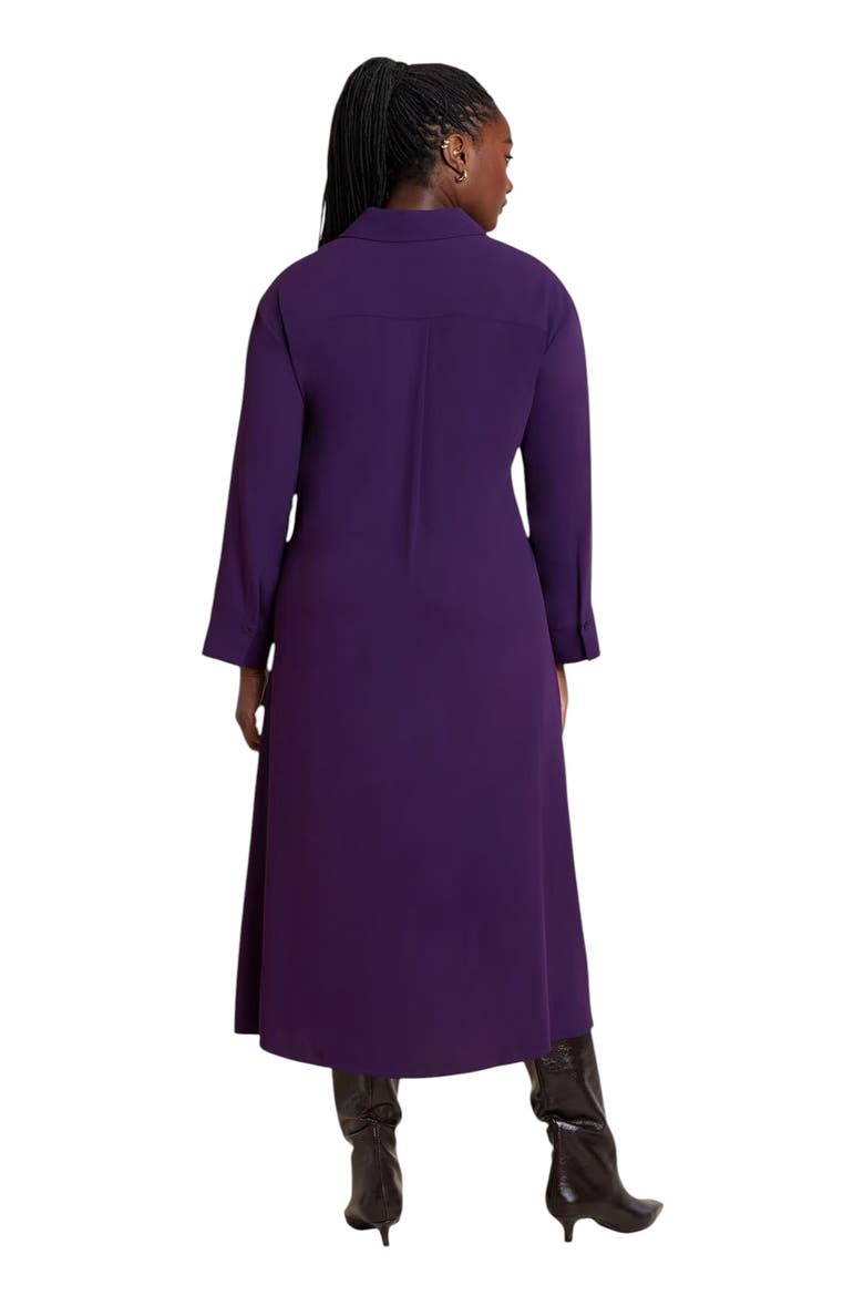 Tie Front Oversized Midi Shirt Dress, Alternate, color, PURPLE PENNANT
