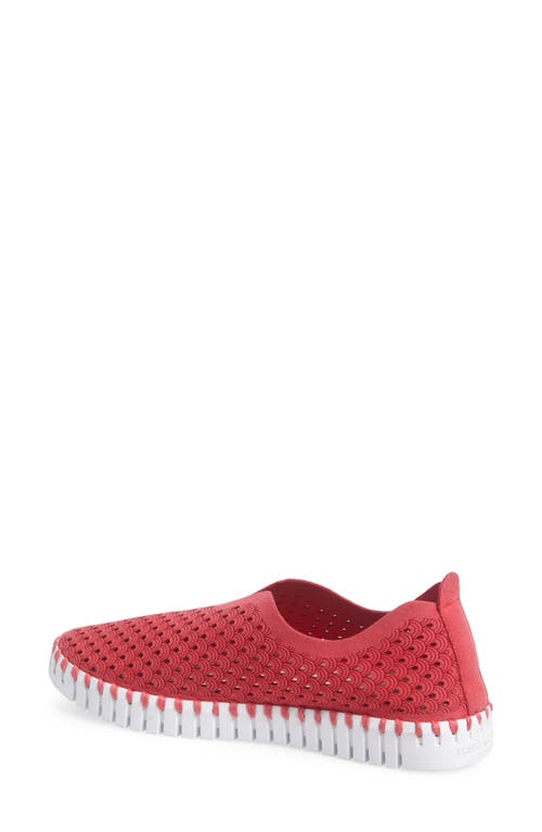 Ilse Jacobsen Tulip 139 Perforated Slip-on Sneaker In Viva Magenta